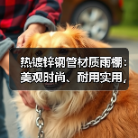 热镀锌钢管材质雨棚：美观时尚、耐用实用，防晒防风防雨效果佳（图3）