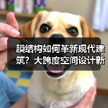 膜结构如何革新现代建筑?大跨度空间设计新选择(图1) 膜结构如何革新现代建筑?大跨度空间设计新选择(图1)