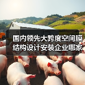 国内领先大跨度空间膜结构设计安装企业哪家强?(图2) 国内领先大跨度空间膜结构设计安装企业哪家强?(图2)