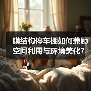 膜结构停车棚如何兼顾空间利用与环境美化？（图3）