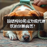 膜结构如何成为现代建筑的创新典范?(图4) 膜结构如何成为现代建筑的创新典范?(图4)
