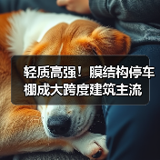 轻质高强!膜结构停车棚成大跨度建筑主流(图4) 轻质高强!膜结构停车棚成大跨度建筑主流(图4)