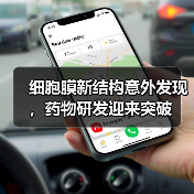 细胞膜新结构意外发现,药物研发迎来突破(图1) 细胞膜新结构意外发现,药物研发迎来突破(图1)