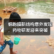 细胞膜新结构意外发现,药物研发迎来突破(图2) 细胞膜新结构意外发现,药物研发迎来突破(图2)