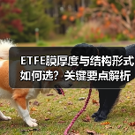 ETFE膜厚度与结构形式如何选?关键要点解析(图2) ETFE膜厚度与结构形式如何选?关键要点解析(图2)
