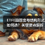 ETFE膜厚度与结构形式如何选?关键要点解析(图1) ETFE膜厚度与结构形式如何选?关键要点解析(图1)