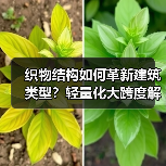 织物结构如何革新建筑类型?轻量化大跨度解决方案(图3) 织物结构如何革新建筑类型?轻量化大跨度解决方案(图3)
