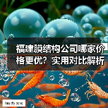福建膜结构公司哪家价格更优?实用对比解析(图2) 福建膜结构公司哪家价格更优?实用对比解析(图2)
