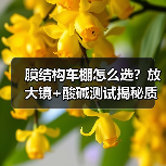 膜结构车棚怎么选?放大镜+酸碱测试揭秘质量真相(图1) 膜结构车棚怎么选?放大镜+酸碱测试揭秘质量真相(图1)