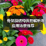 骨架膜结构优势解析与应用场景推荐(图4) 骨架膜结构优势解析与应用场景推荐(图4)