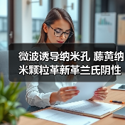 微波诱导纳米孔 藤黄纳米颗粒革新革兰氏阴性菌清除(图2) 微波诱导纳米孔 藤黄纳米颗粒革新革兰氏阴性菌清除(图2)