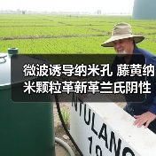 微波诱导纳米孔 藤黄纳米颗粒革新革兰氏阴性菌清除(图1) 微波诱导纳米孔 藤黄纳米颗粒革新革兰氏阴性菌清除(图1)