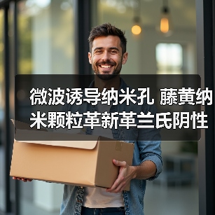 微波诱导纳米孔 藤黄纳米颗粒革新革兰氏阴性菌清除(图3) 微波诱导纳米孔 藤黄纳米颗粒革新革兰氏阴性菌清除(图3)