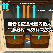 连云港港建成国内最大气膜仓库 高效解决散货环保难题(图1) 连云港港建成国内最大气膜仓库 高效解决散货环保难题(图1)