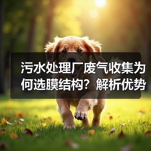 污水处理厂废气收集为何选膜结构?解析优势与适用场景(图2) 污水处理厂废气收集为何选膜结构?解析优势与适用场景(图2)