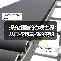 探究细胞的微观世界：从原核到真核的奥秘（图4）