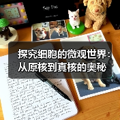 探究细胞的微观世界：从原核到真核的奥秘（图2）