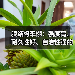 膜结构车棚:强度高、耐久性好、自洁性强的现代化建筑(图1) 膜结构车棚:强度高、耐久性好、自洁性强的现代化建筑(图1)