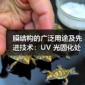 膜结构的广泛用途及先进技术：UV 光固化处理与沼气工程应用（图1）
