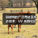 膜结构的广泛用途及先进技术：UV 光固化处理与沼气工程应用（图2）