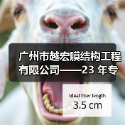 广州市越宏膜结构工程有限公司——23 年专业膜结构生产厂家,承接全球膜结构工程(图4) 广州市越宏膜结构工程有限公司——23 年专业膜结构生产厂家,承接全球膜结构工程(图4)