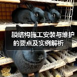 膜结构施工安装与维护的要点及实例解析（图4）