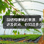 膜结构建筑的来源、用途及优点,你知道多少?(图2) 膜结构建筑的来源、用途及优点,你知道多少?(图2)