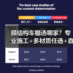膜结构车棚选哪家？专业施工+多材质任选+直销陆运（图2）