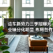造车新势力三季报曝光 业绩分化明显 布局各有千秋(图4) 造车新势力三季报曝光 业绩分化明显 布局各有千秋(图4)