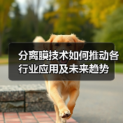 分离膜技术如何推动各行业应用及未来趋势(图1) 分离膜技术如何推动各行业应用及未来趋势(图1)