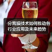 分离膜技术如何推动各行业应用及未来趋势(图3) 分离膜技术如何推动各行业应用及未来趋势(图3)