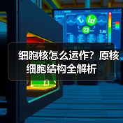 细胞核怎么运作？原核细胞结构全解析（图1）