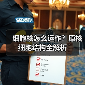 细胞核怎么运作？原核细胞结构全解析（图3）