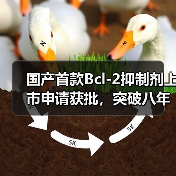 国产首款Bcl-2抑制剂上市申请获批,突破八年空白(图2) 国产首款Bcl-2抑制剂上市申请获批,突破八年空白(图2)