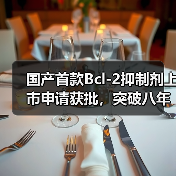 国产首款Bcl-2抑制剂上市申请获批,突破八年空白(图3) 国产首款Bcl-2抑制剂上市申请获批,突破八年空白(图3)