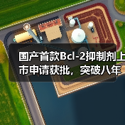 国产首款Bcl-2抑制剂上市申请获批,突破八年空白(图4) 国产首款Bcl-2抑制剂上市申请获批,突破八年空白(图4)