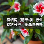 膜结构(钢结构)行业现状分析:挑战与未来趋势(图2) 膜结构(钢结构)行业现状分析:挑战与未来趋势(图2)