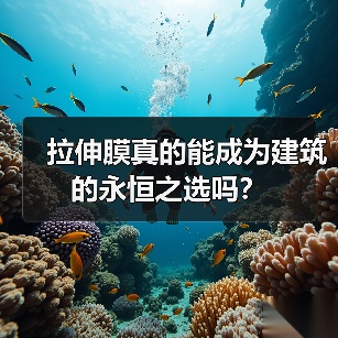 拉伸膜真的能成为建筑的永恒之选吗?(图2) 拉伸膜真的能成为建筑的永恒之选吗?(图2)