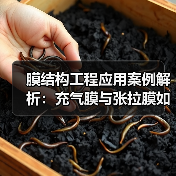 膜结构工程应用案例解析:充气膜与张拉膜如何打造地标性建筑?(图4) 膜结构工程应用案例解析:充气膜与张拉膜如何打造地标性建筑?(图4)