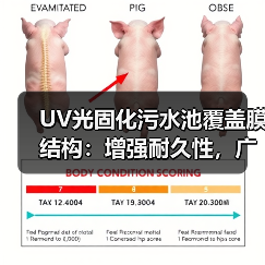 UV光固化污水池覆盖膜结构:增强耐久性,广泛应用大中型沼气工程(图4) UV光固化污水池覆盖膜结构:增强耐久性,广泛应用大中型沼气工程(图4)
