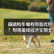 膜结构车棚有哪些优势?耐用美观经济实用全解析(图1) 膜结构车棚有哪些优势?耐用美观经济实用全解析(图1)