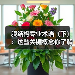 膜结构专业术语（下）：这些关键概念你了解吗？（图2）