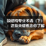 膜结构专业术语（下）：这些关键概念你了解吗？（图3）
