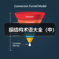 膜结构术语大全(中)(图3) 膜结构术语大全(中)(图3)