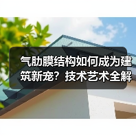 气肋膜结构如何成为建筑新宠？技术艺术全解析（图4）