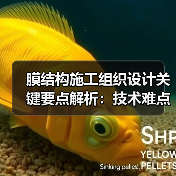 膜结构施工组织设计关键要点解析：技术难点与质量保障（图2）