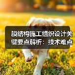 膜结构施工组织设计关键要点解析：技术难点与质量保障（图3）