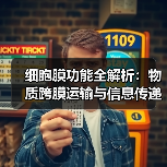 细胞膜功能全解析：物质跨膜运输与信息传递机制（图4）