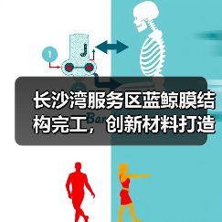 长沙湾服务区蓝鲸膜结构完工,创新材料打造海洋美学空间(图4) 长沙湾服务区蓝鲸膜结构完工,创新材料打造海洋美学空间(图4)