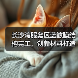 长沙湾服务区蓝鲸膜结构完工,创新材料打造海洋美学空间(图3) 长沙湾服务区蓝鲸膜结构完工,创新材料打造海洋美学空间(图3)